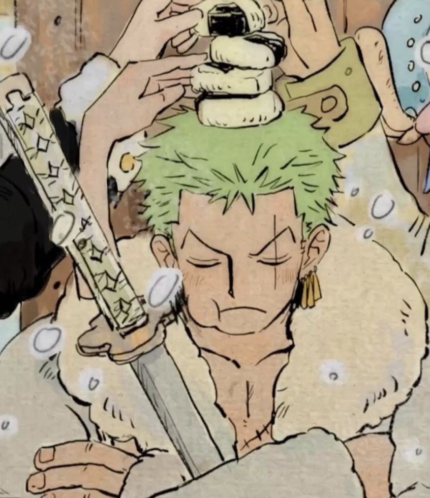 stylish zoro pfp.