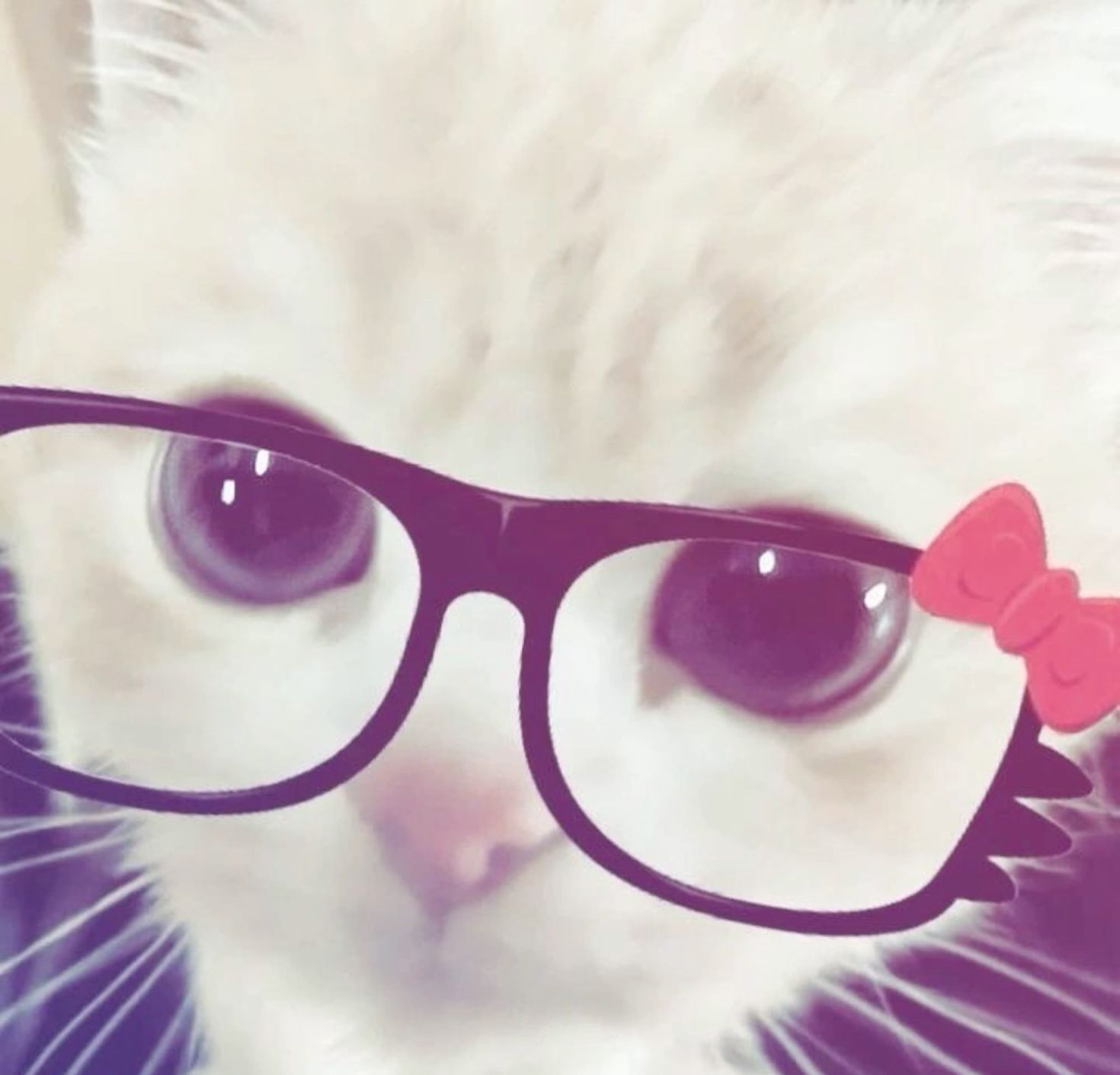 themed cat with glasses avatars for gamers