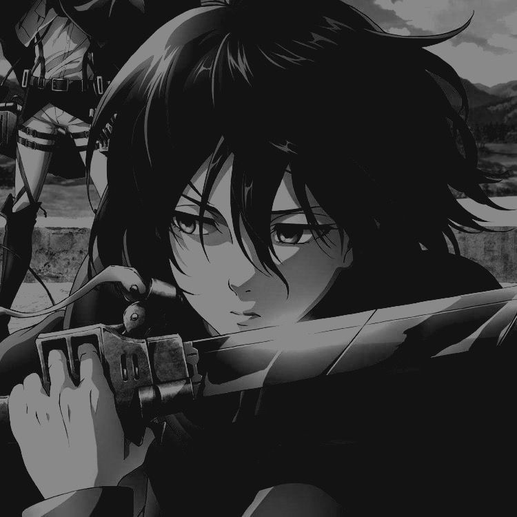 trending mikasa ackerman pfp images