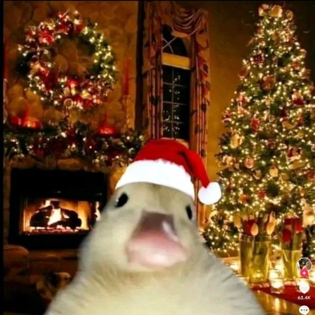 unique christmas discord pfp