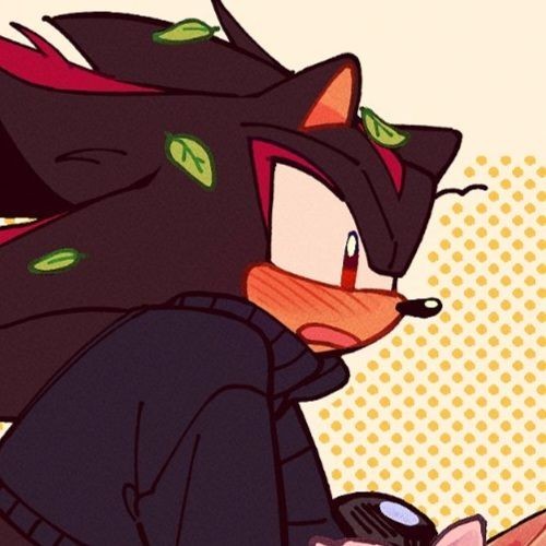 unique shadow pfp sonic themes