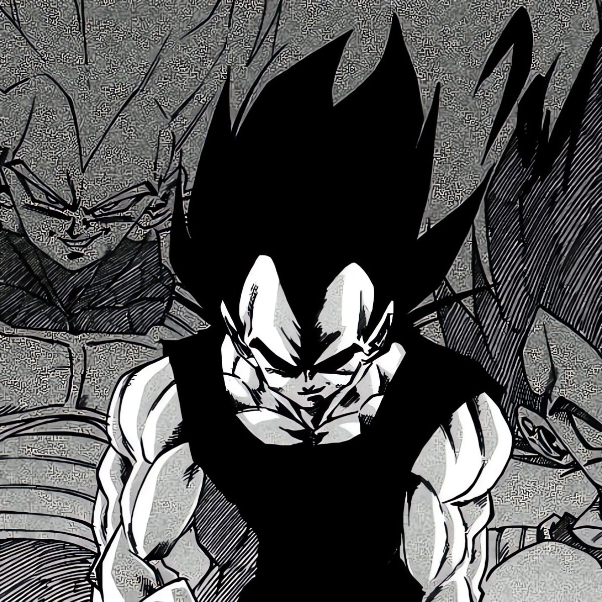 vegeta pfp 0022