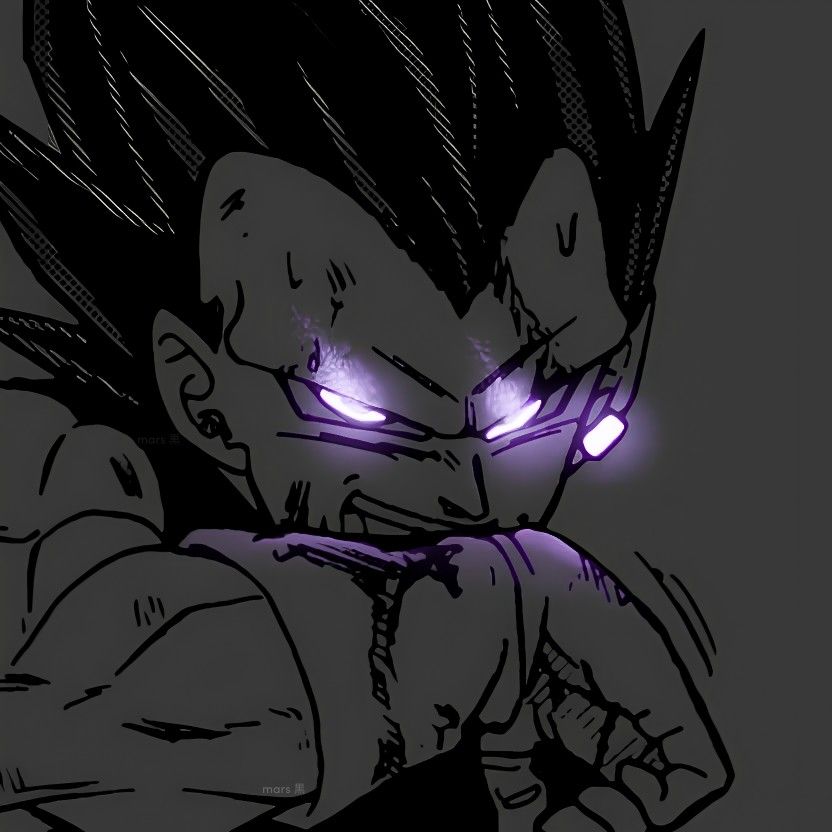 vegeta pfp 0024