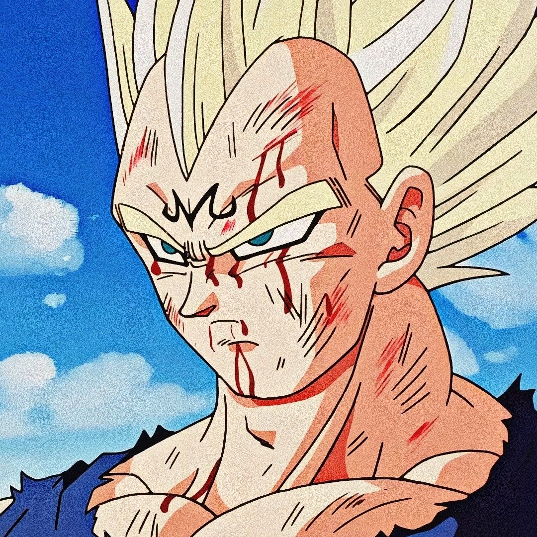 vegeta pfp 0026