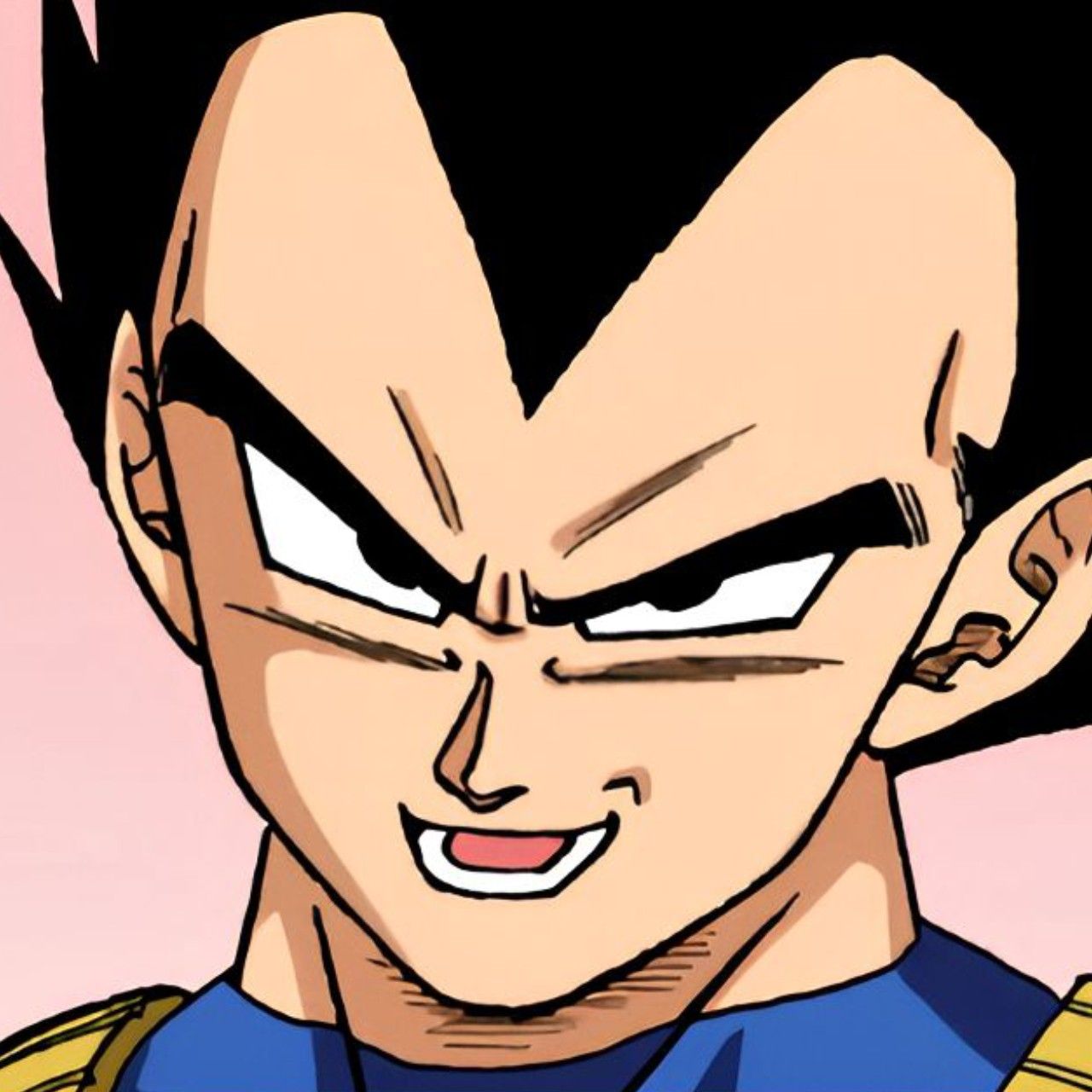 vegeta pfp 0028