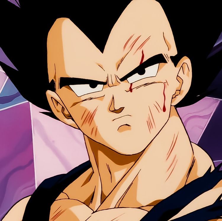 vegeta pfp 0029