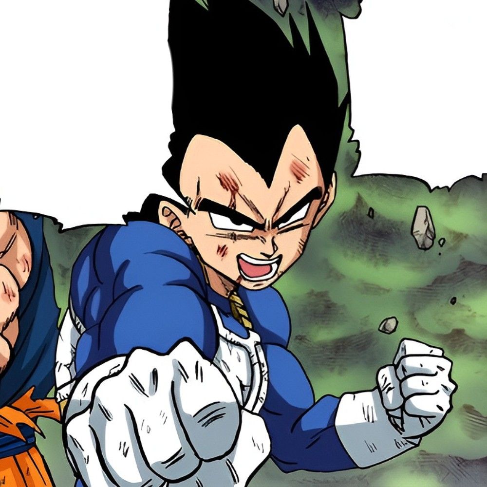 vegeta pfp 0030