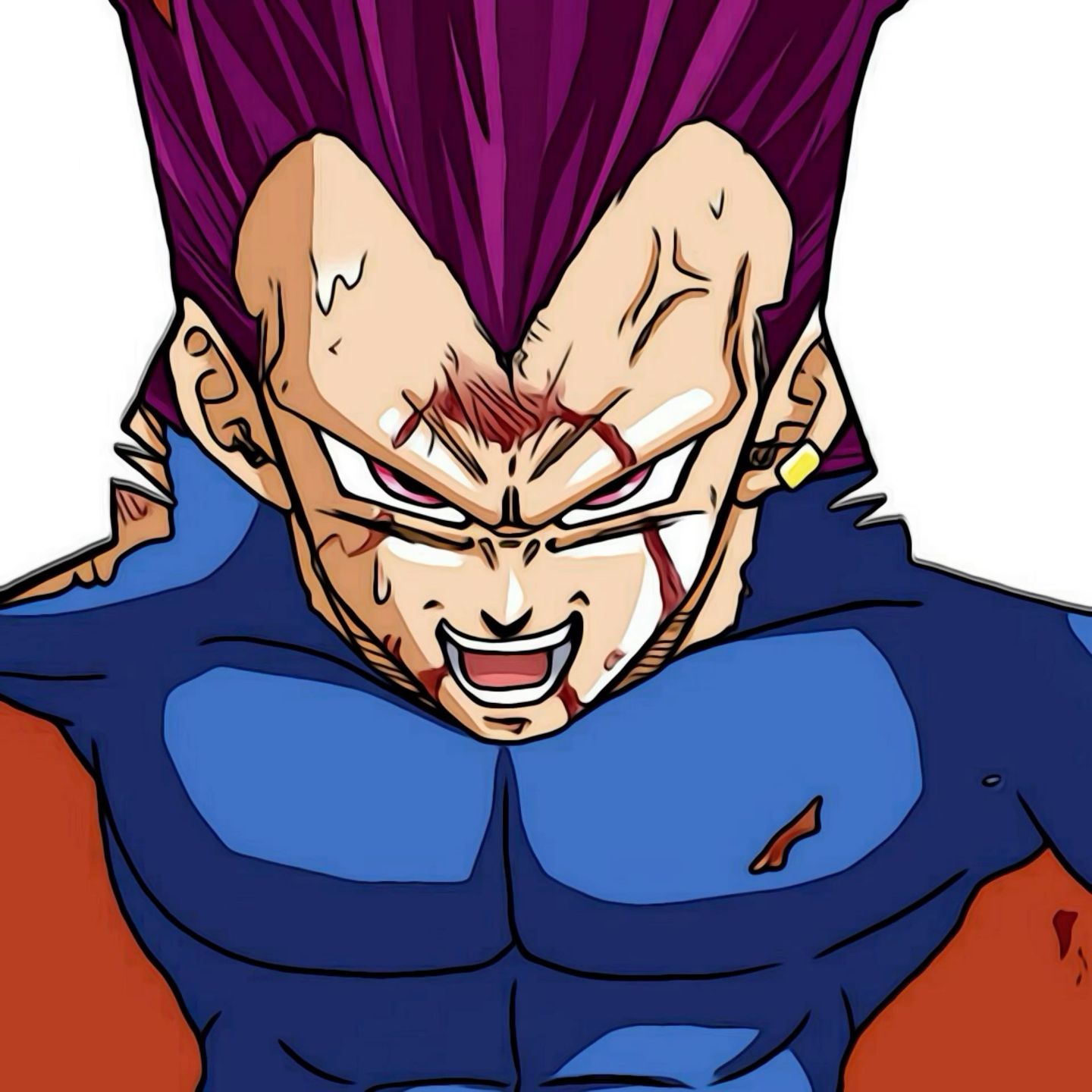 vegeta pfp 0031