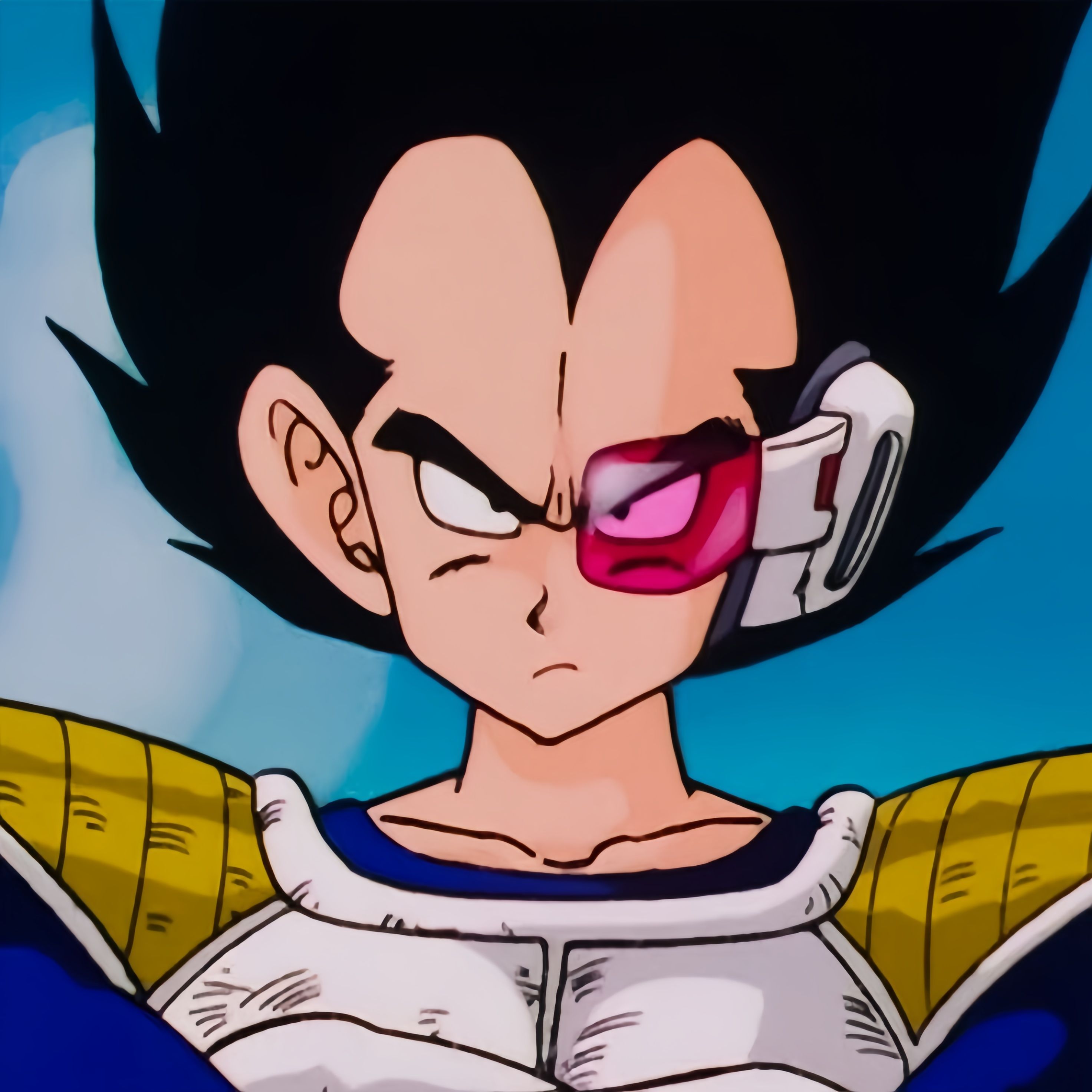 vegeta pfp 0033