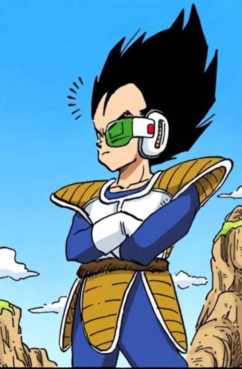 vegeta pfp 0041