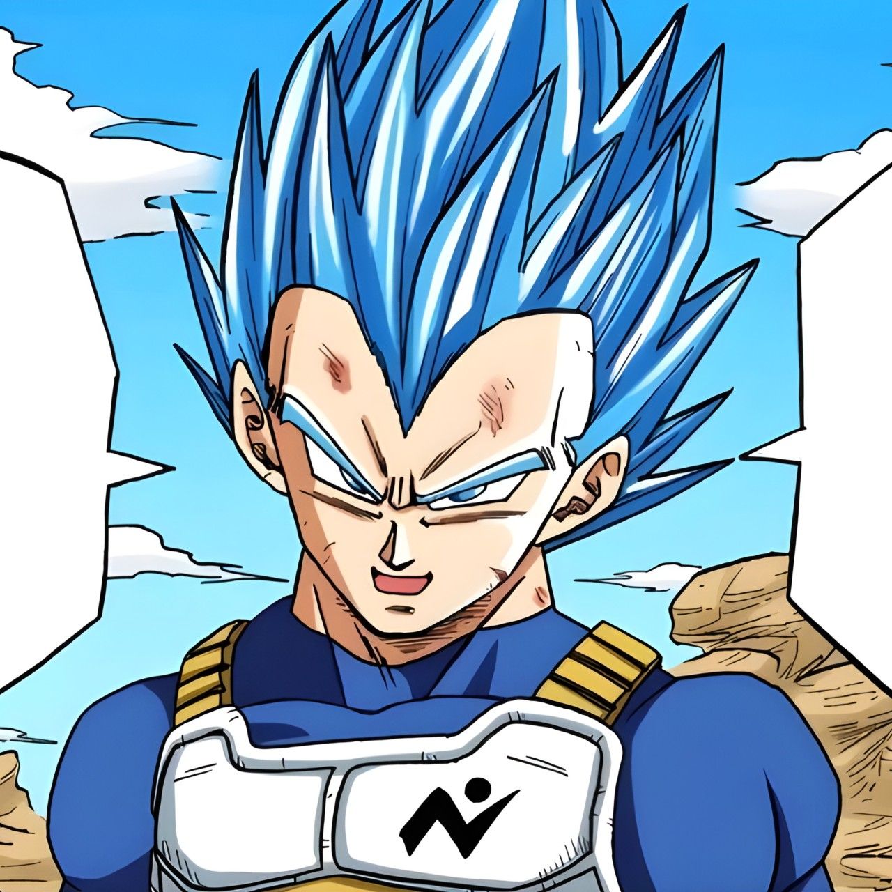 vegeta pfp 0044