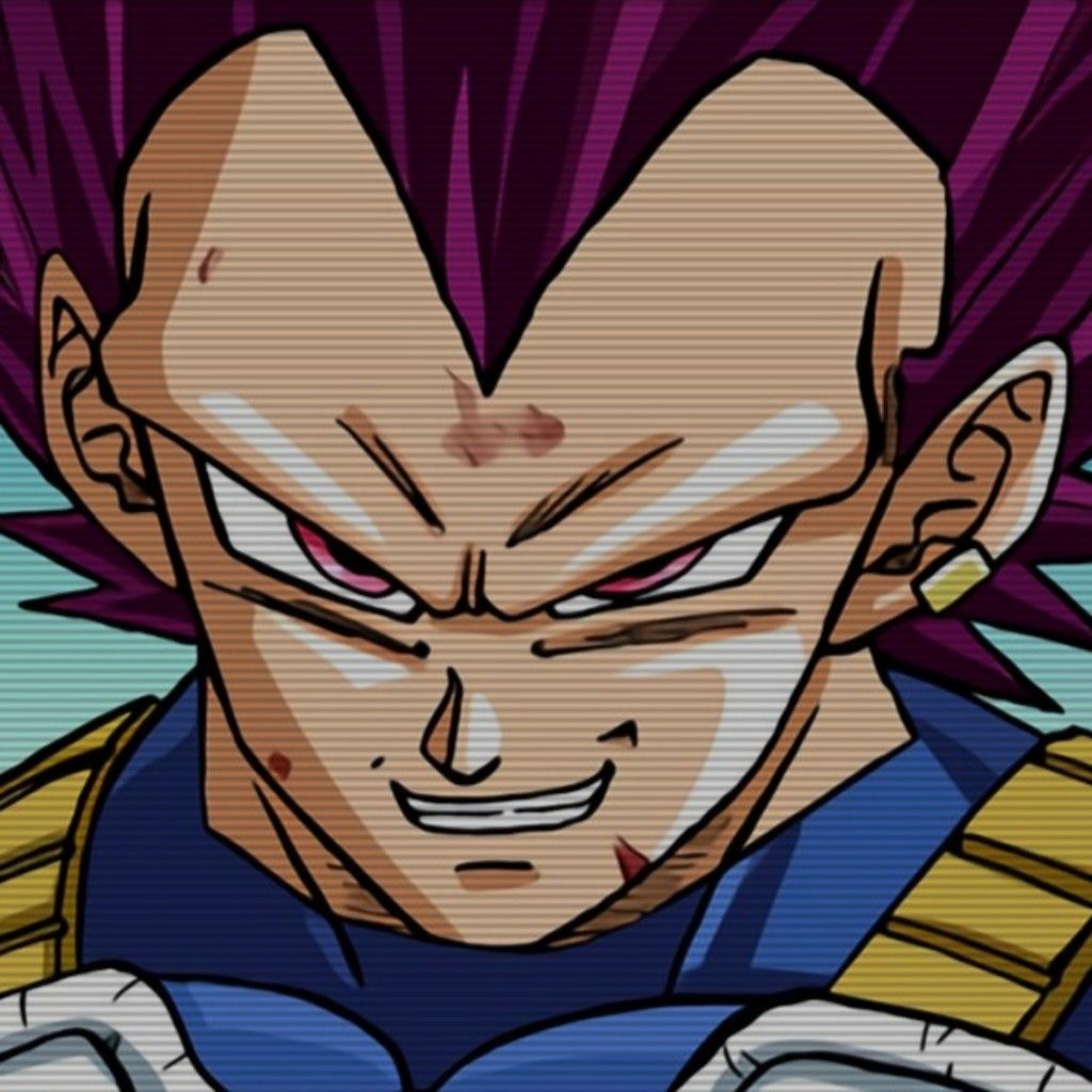 vegeta pfp 0047