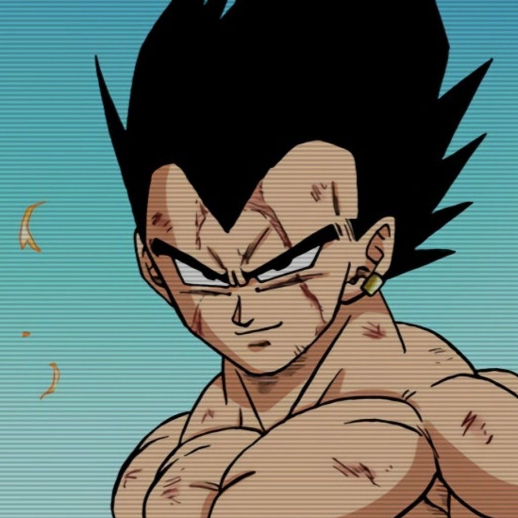 vegeta pfp 0048