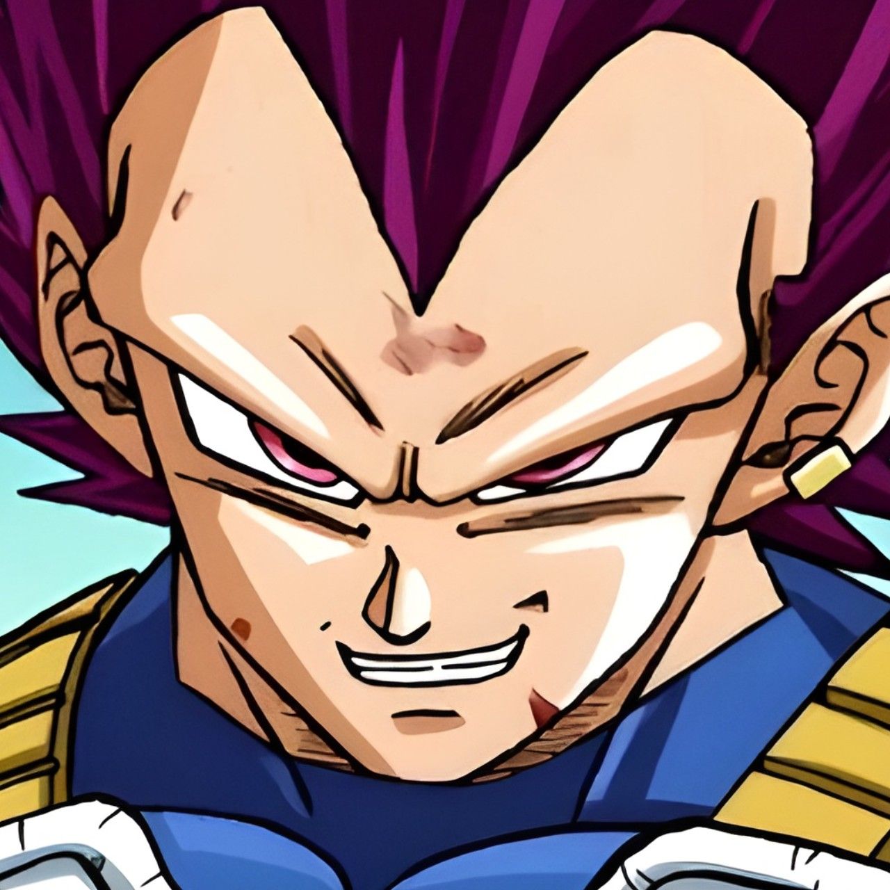 vegeta pfp 0049