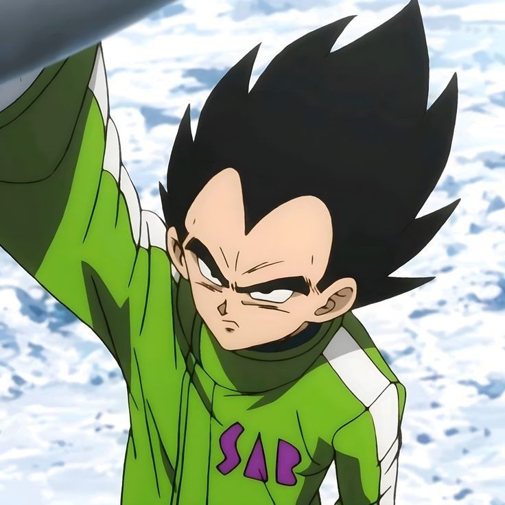 vegeta pfp 0051