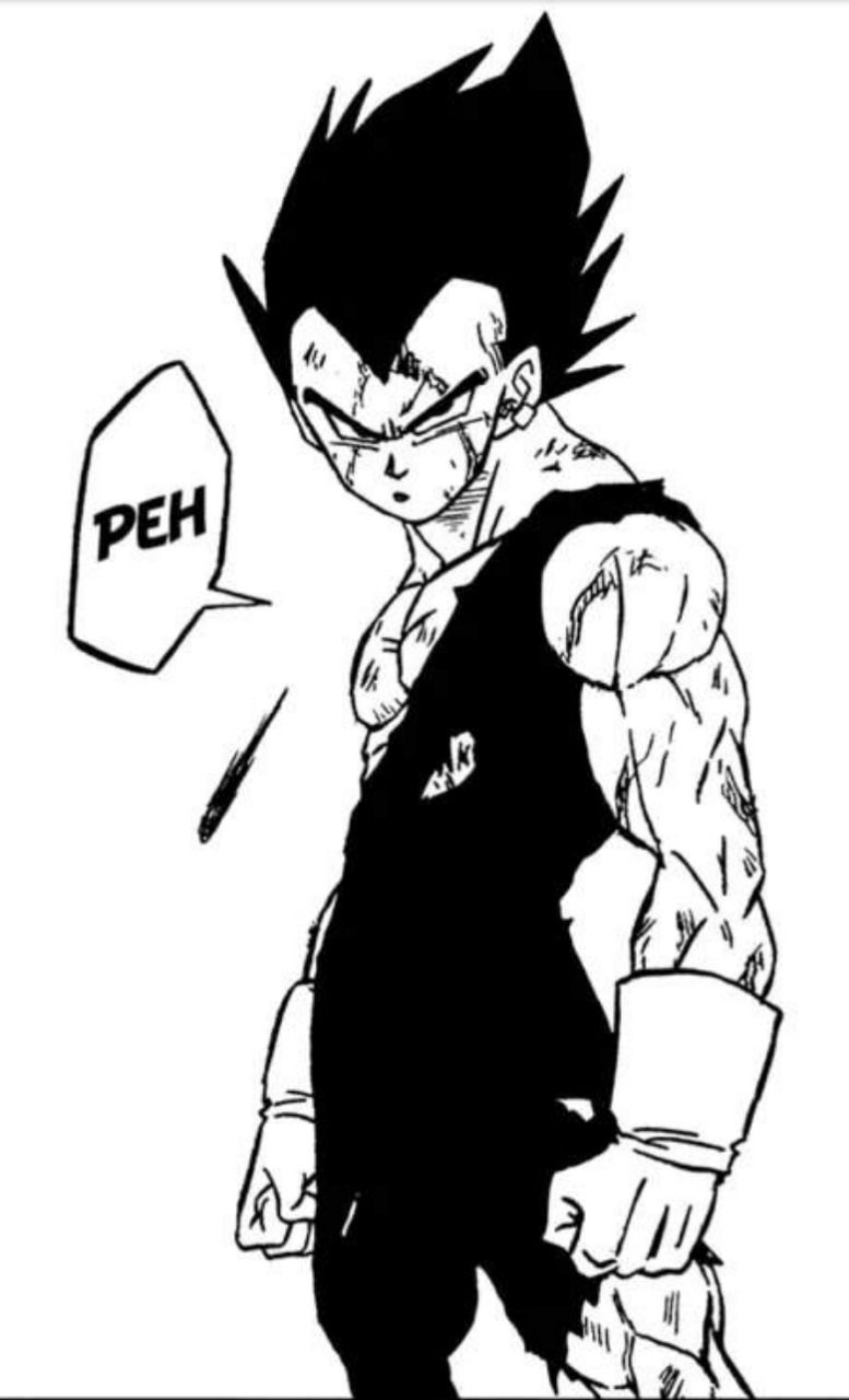 vegeta pfp 0063