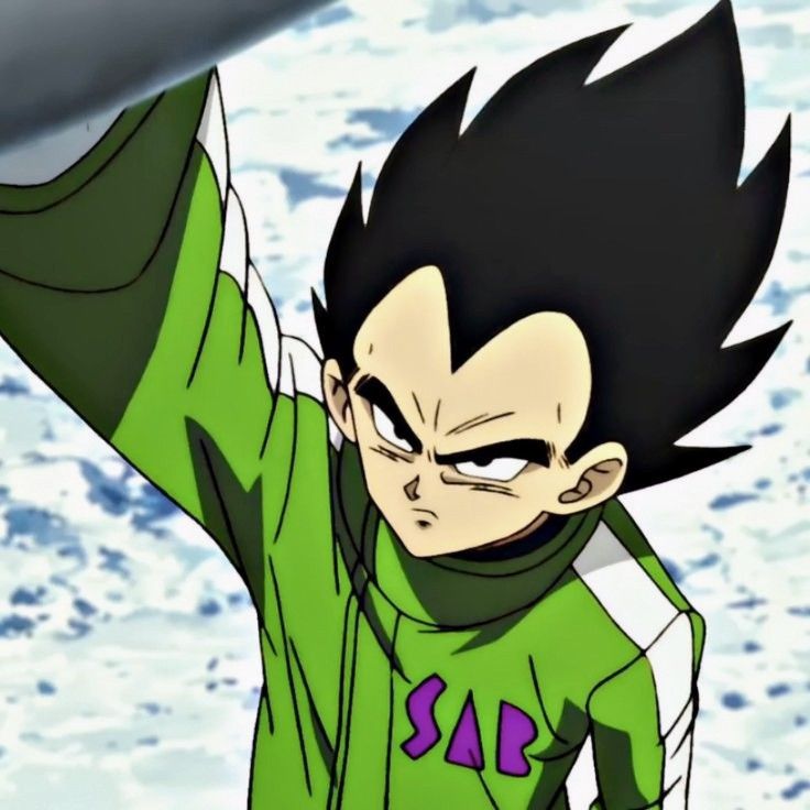 vegeta pfp 0064