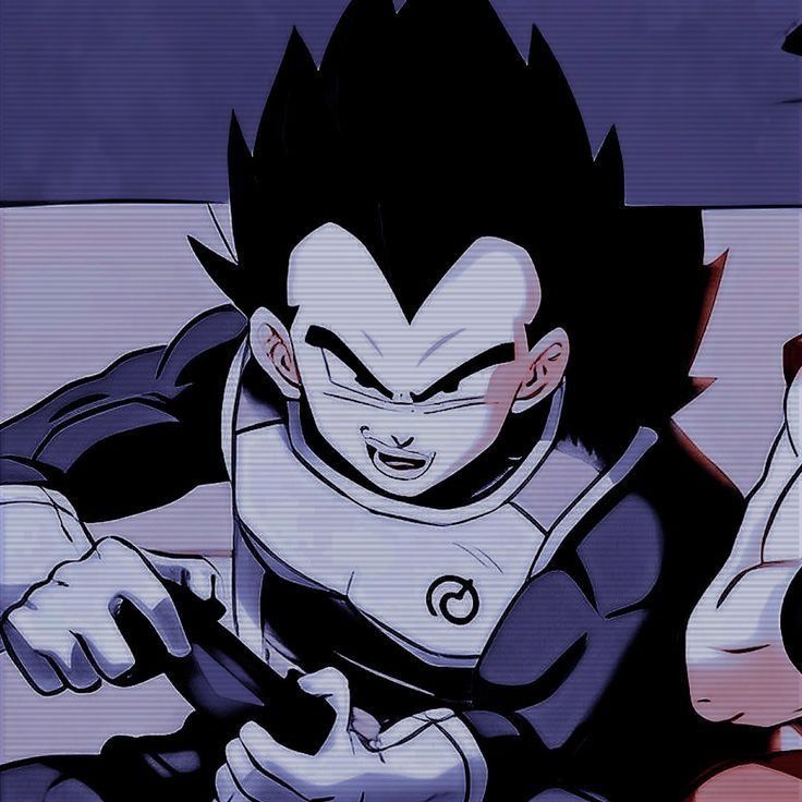 vegeta pfp 0066