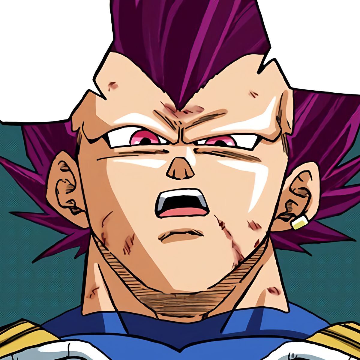 vegeta pfp 0076