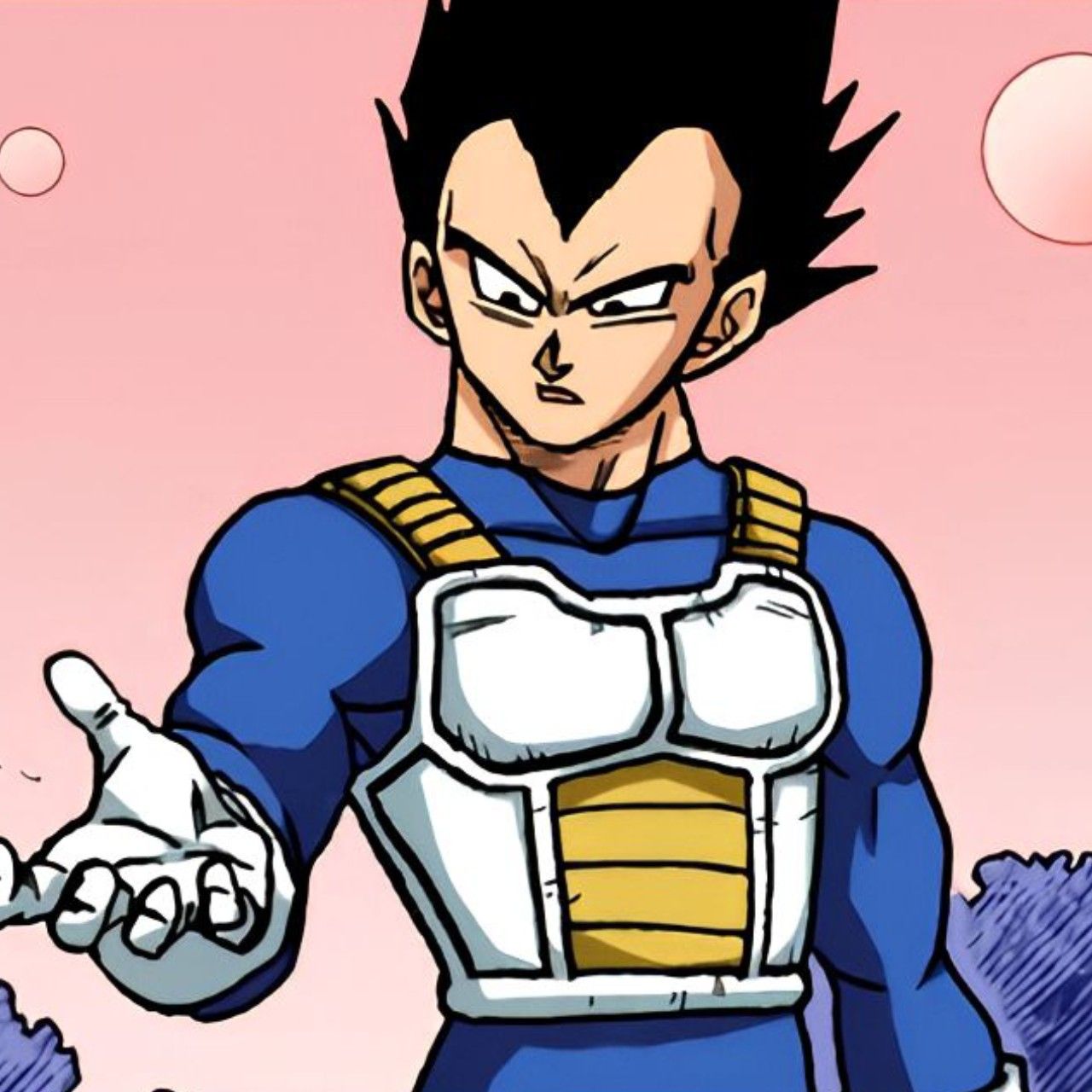 vegeta pfp 0079