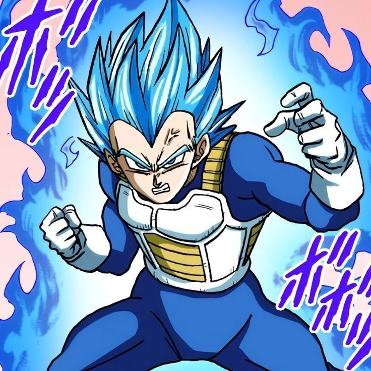 vegeta pfp 0081