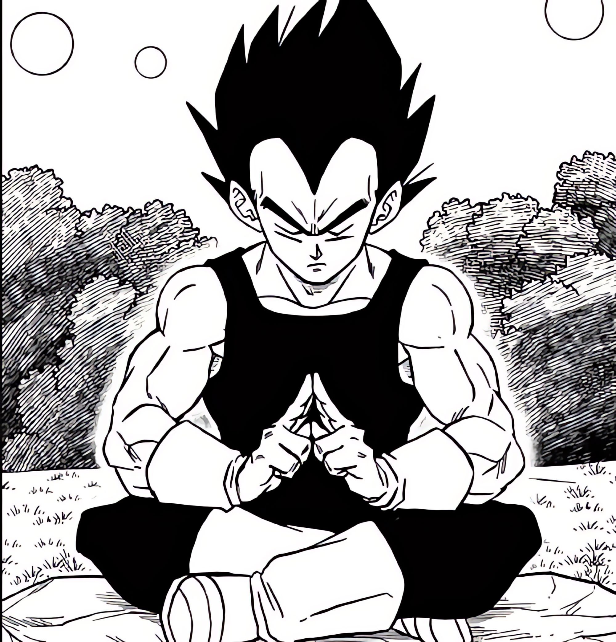 vegeta pfp 0083