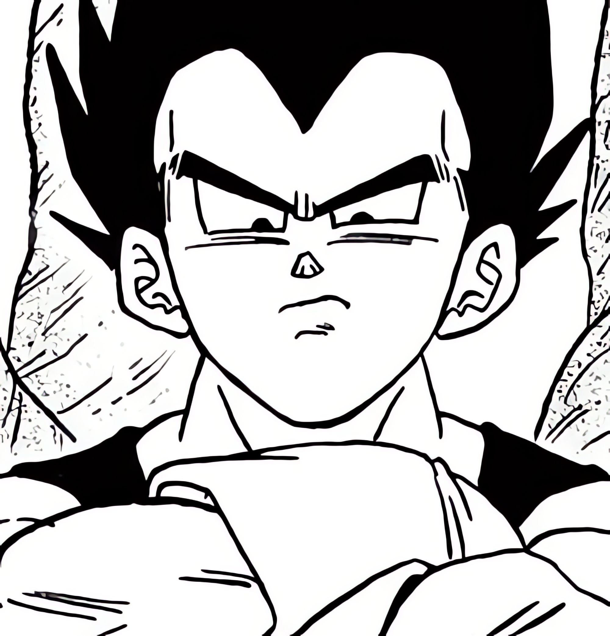 vegeta pfp 0084