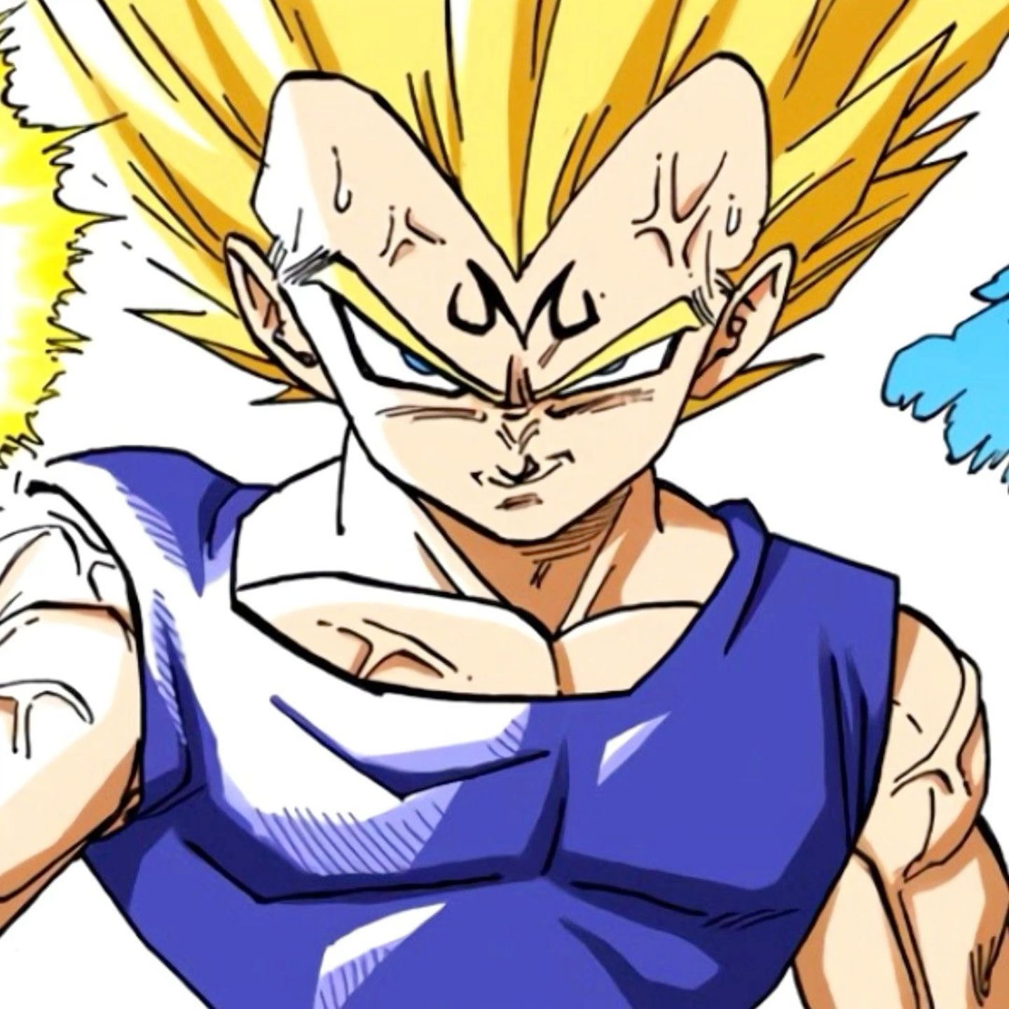 vegeta pfp 0086