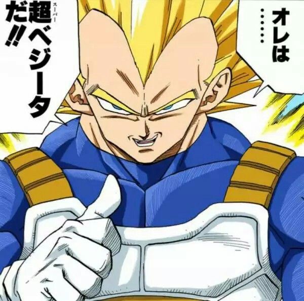 vegeta pfp 0091