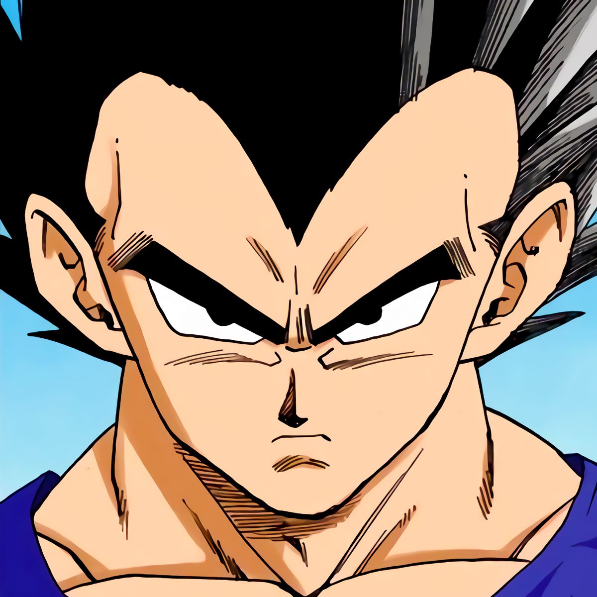 vegeta pfp 0096