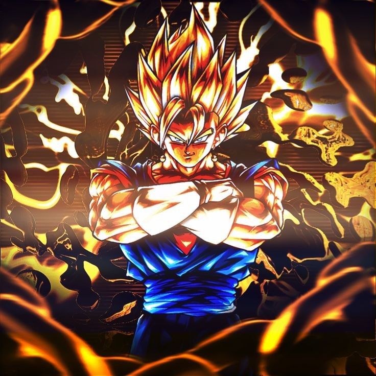 vegito pfp 0039