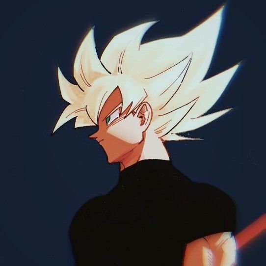 vegito pfp 0056