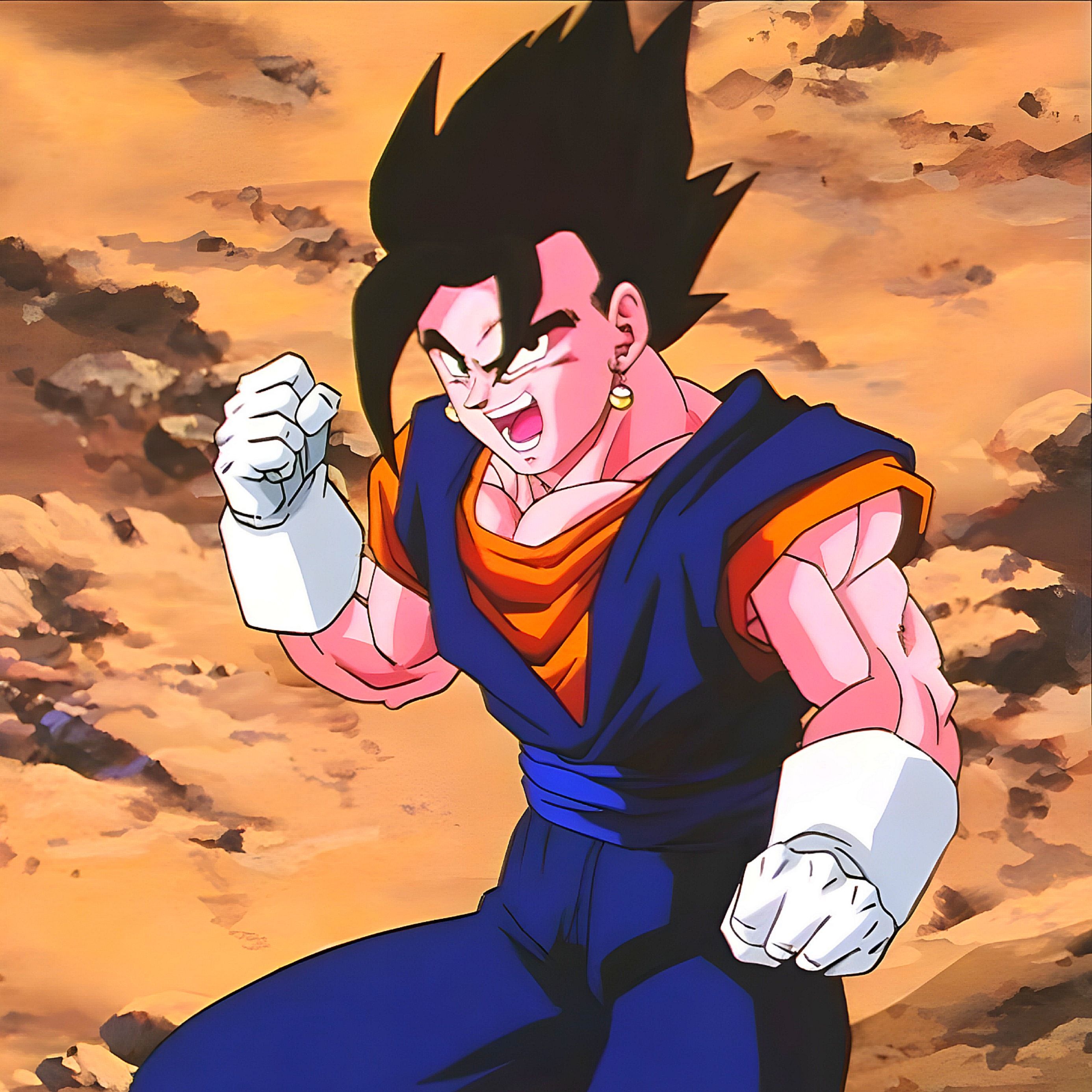 vegito pfp 0062