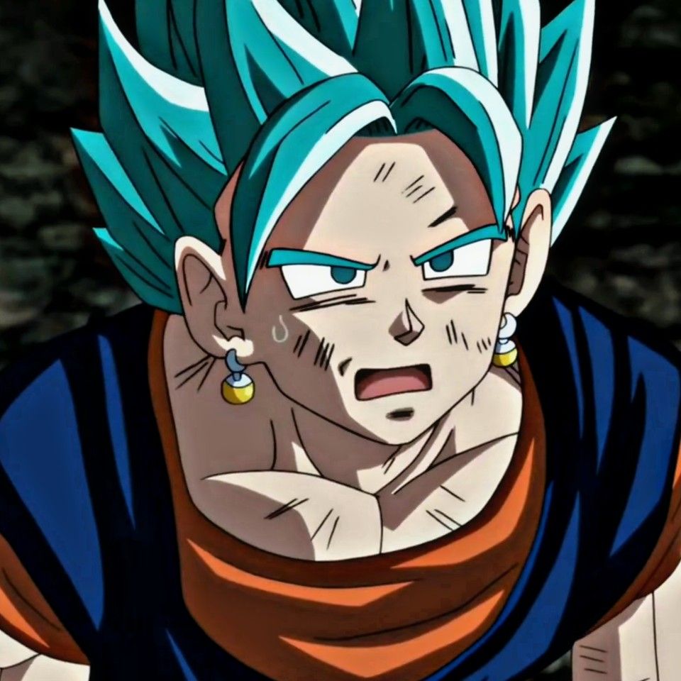 vegito pfp 0084