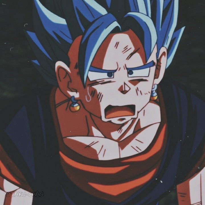 vegito pfp 0091