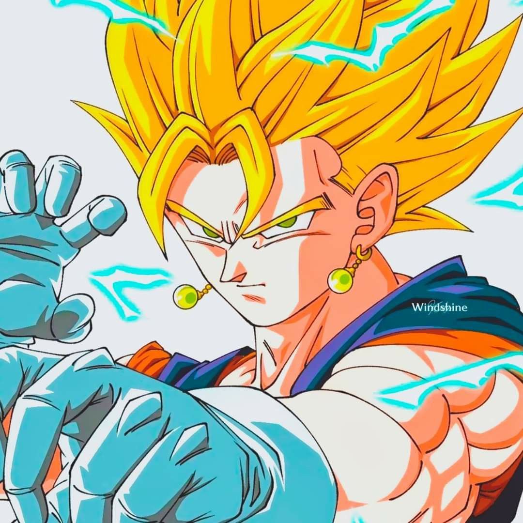 vegito pfp 0093