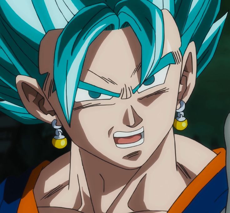 vegito pfp 0096