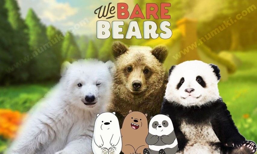 we bare bears pfp 0050