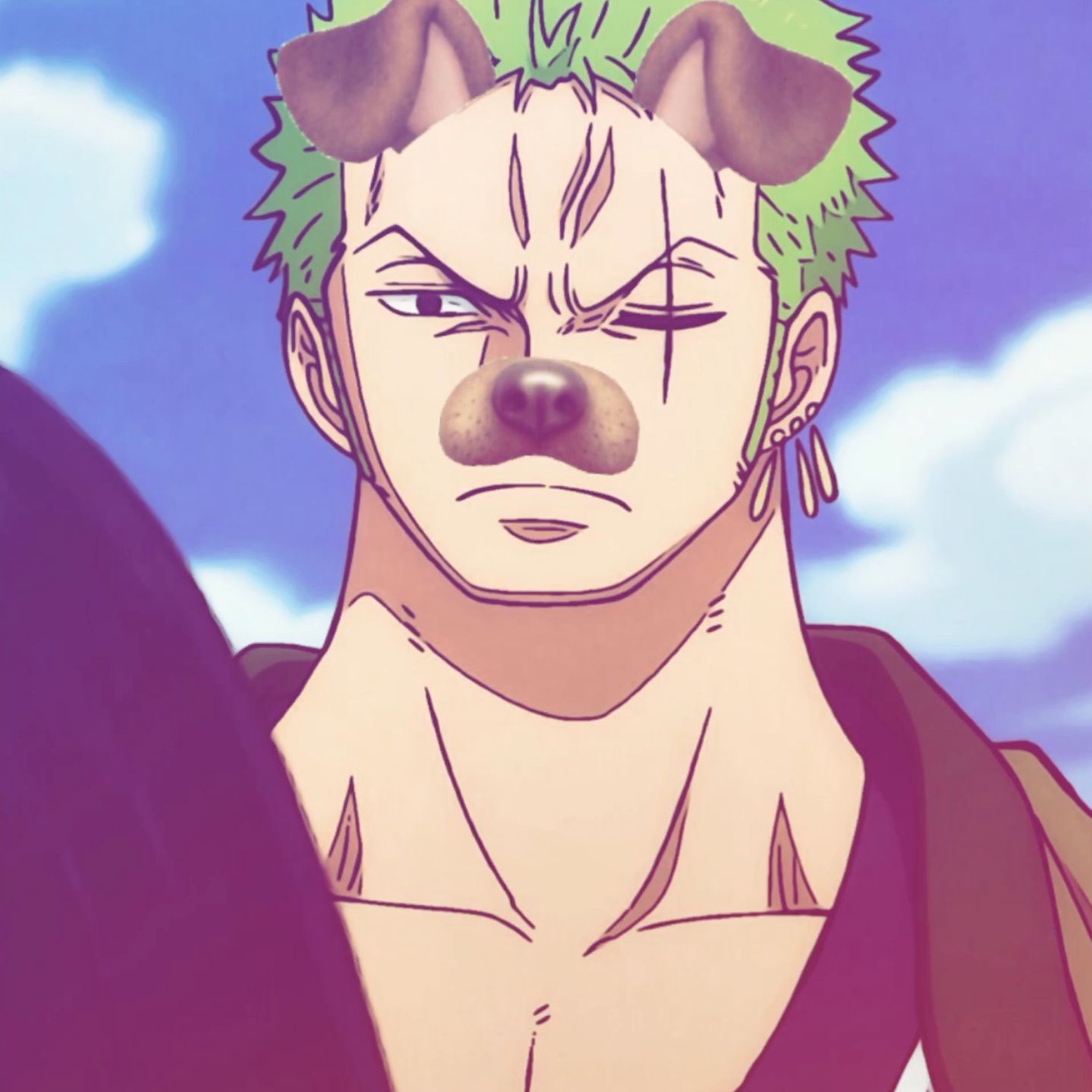 zoro pfp anime