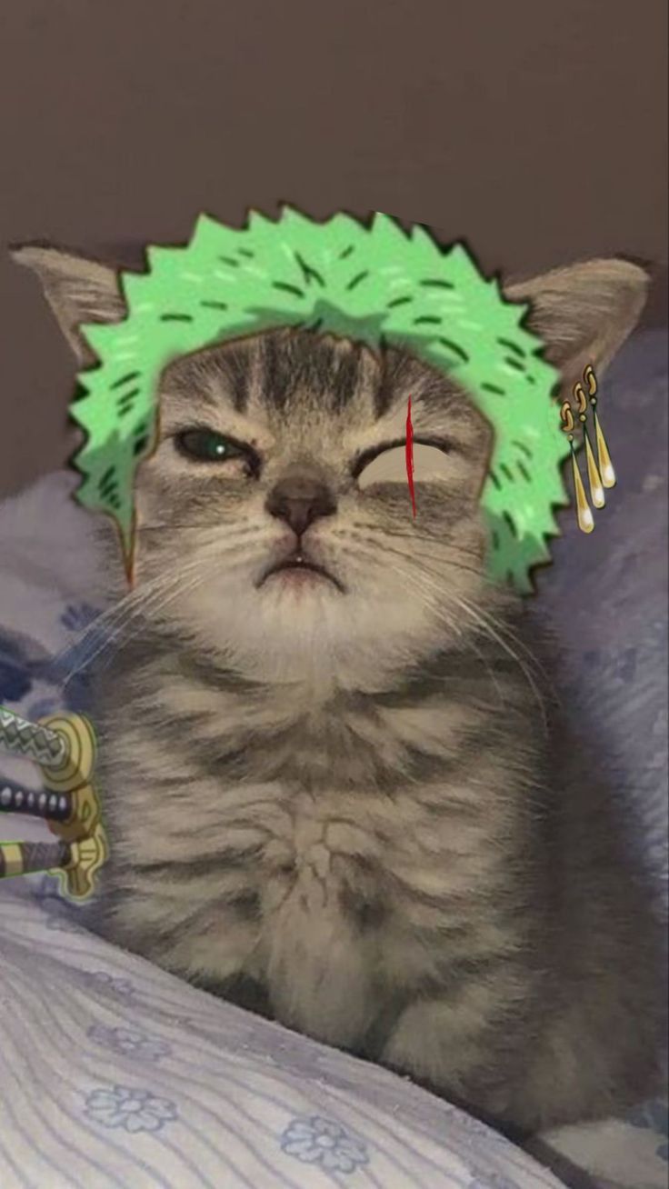 zoro pfp ideas