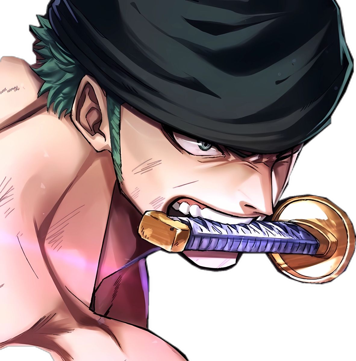 zoro pfp themes