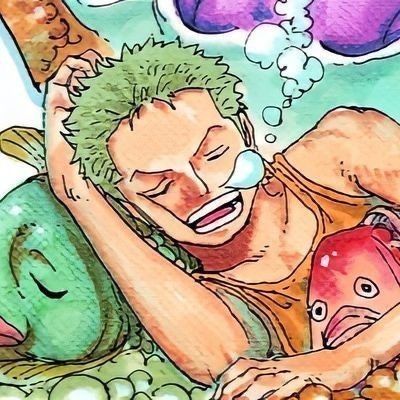 zoro pfp 0022