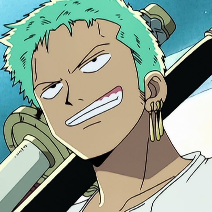 zoro pfp 0029