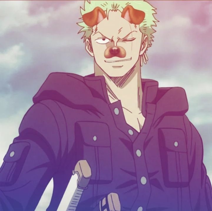 zoro pfp 0030