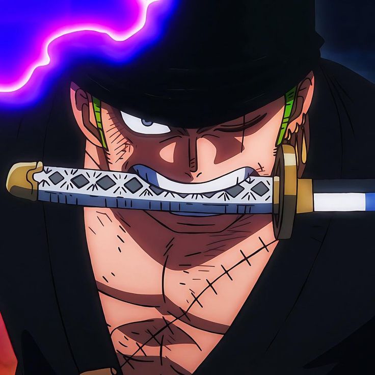 zoro pfp 0037