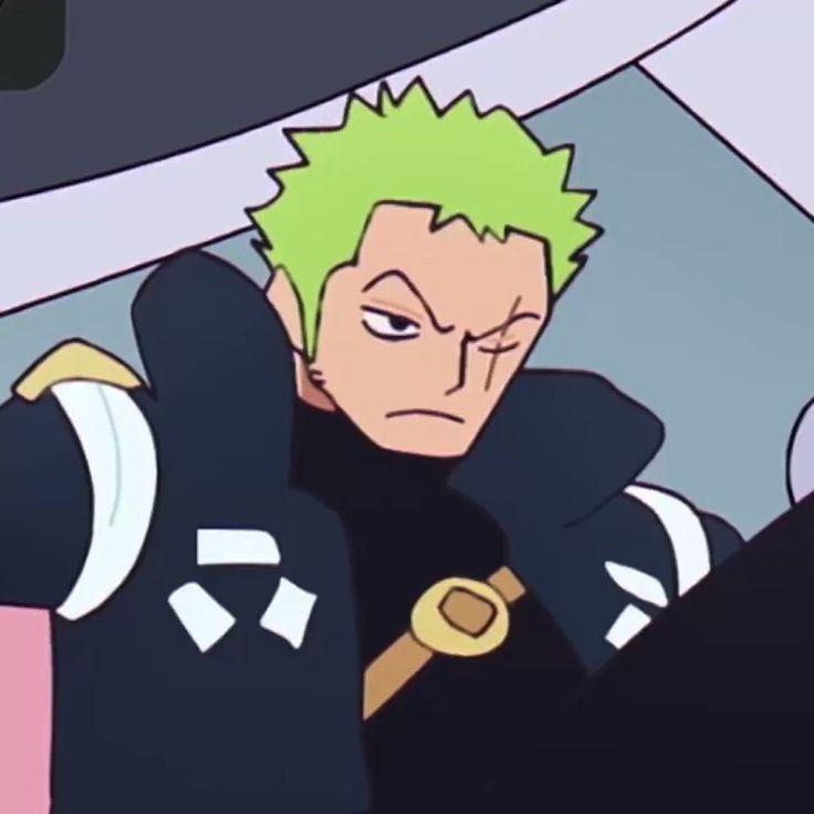 zoro pfp 0045