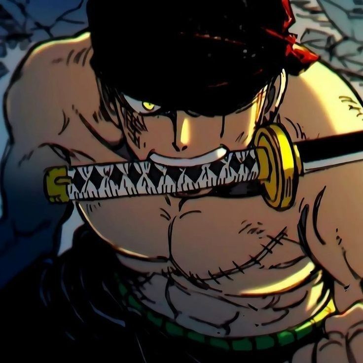 zoro pfp 0047