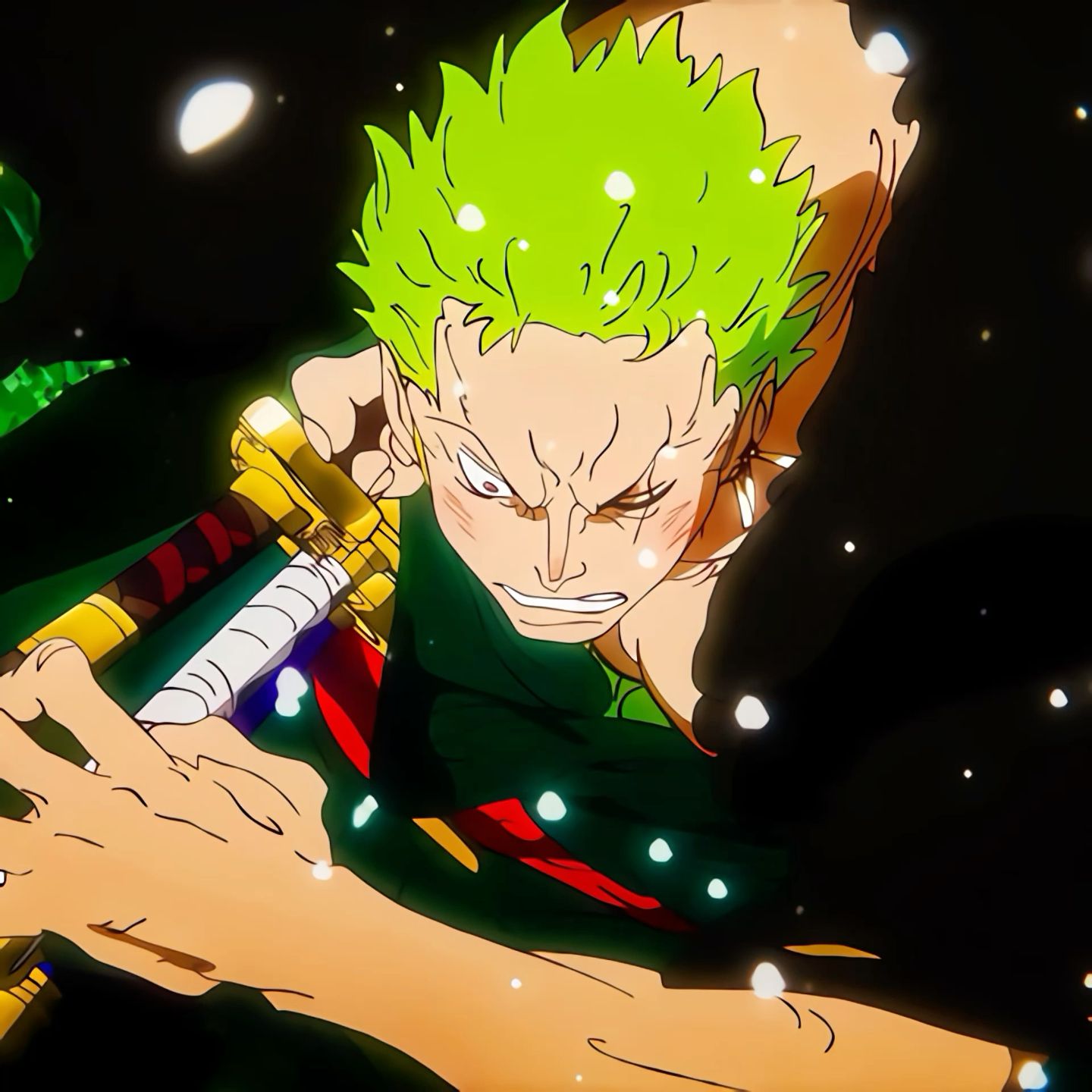 zoro pfp 0053