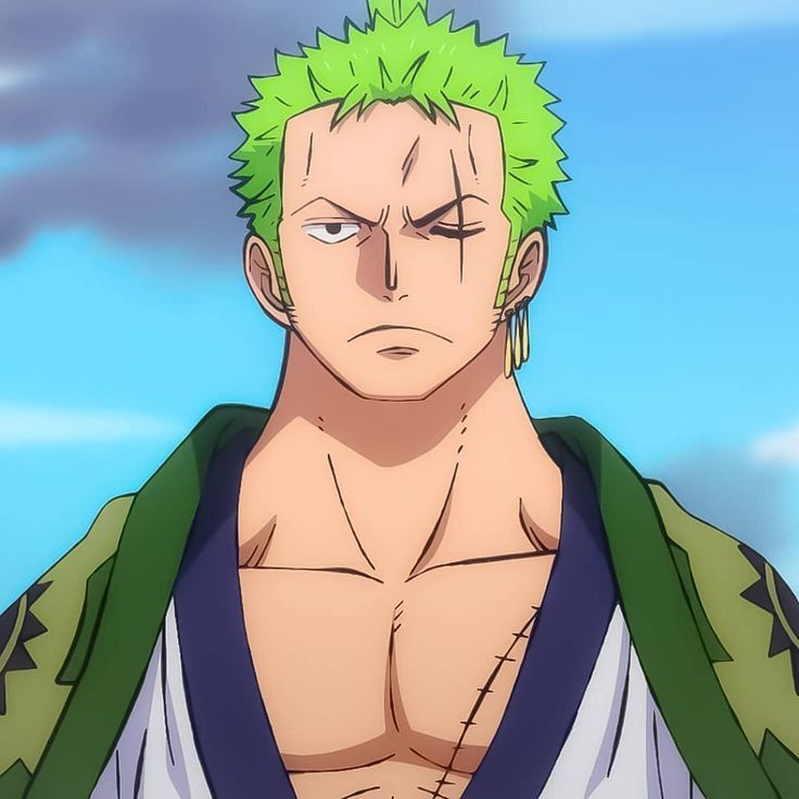 zoro pfp 0055