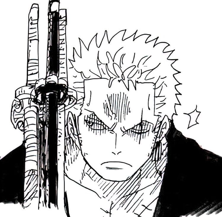 zoro pfp 0057